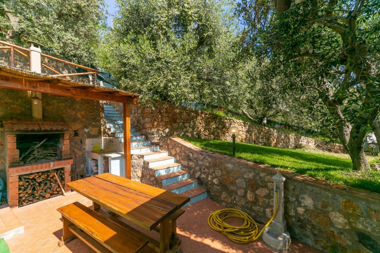 Villino Giordy Daire Porto Santo Stefano  Dış mekan fotoğraf