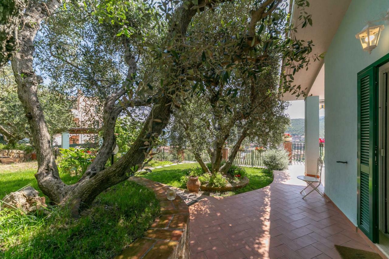 Villino Giordy Daire Porto Santo Stefano  Dış mekan fotoğraf
